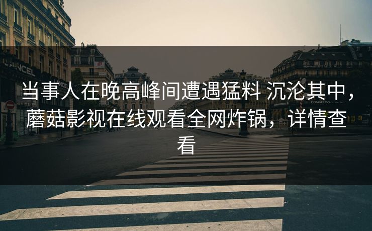 当事人在晚高峰间遭遇猛料 沉沦其中,蘑菇影视在线观看全网炸锅,详情查看 当事人在晚高峰间遭遇猛料 沉沦其中,蘑菇影视在线观看全网炸锅,详情查看
